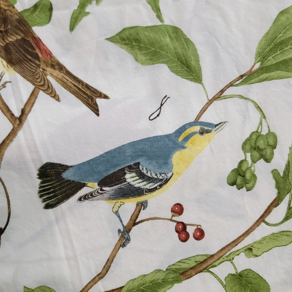 Pottery Barn Spring Sparrow Duvet Cover Only Full Queen EUC Birds Botanical 2010